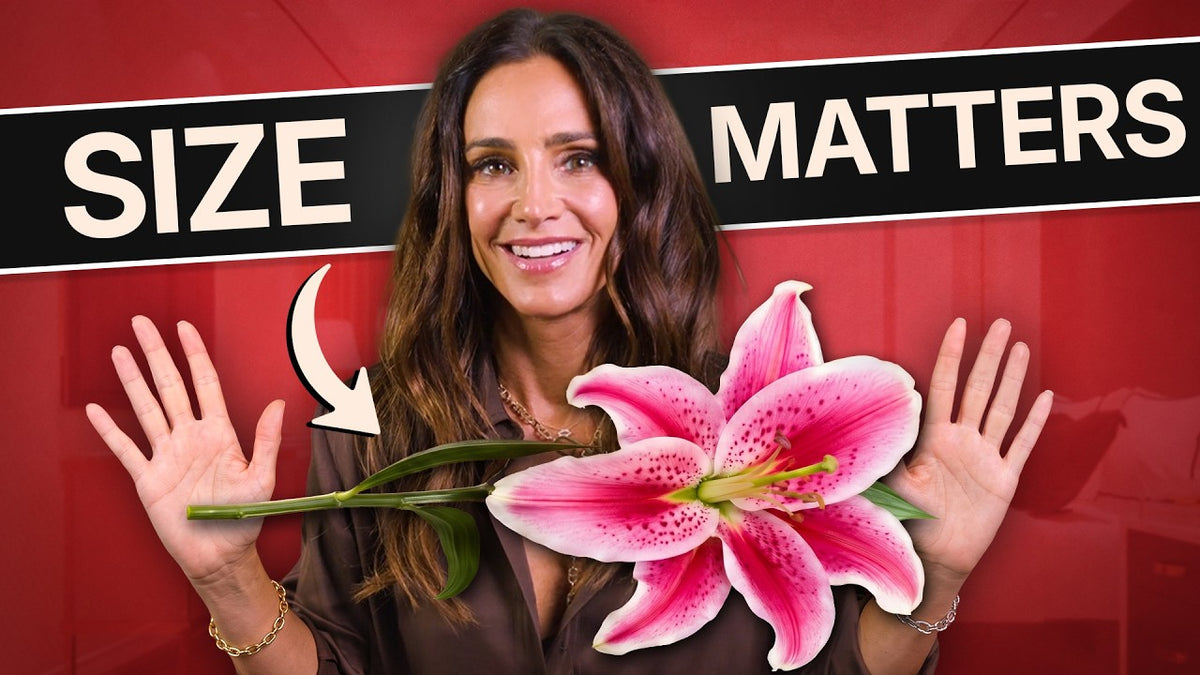 What Nobody Taught You About Vaginas