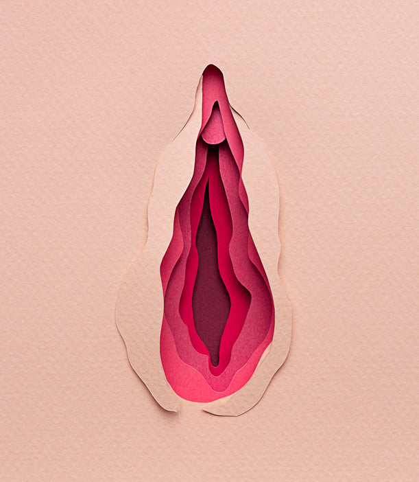3 Sexual Stereotypes to Stop Believing About Vulva Owners