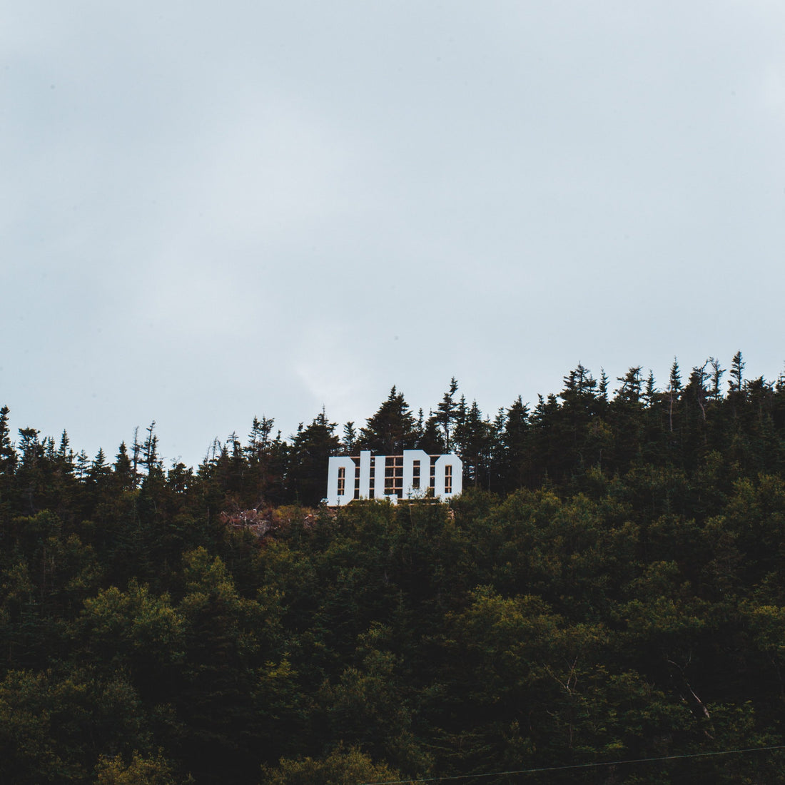 What's the Deal with Dildos?