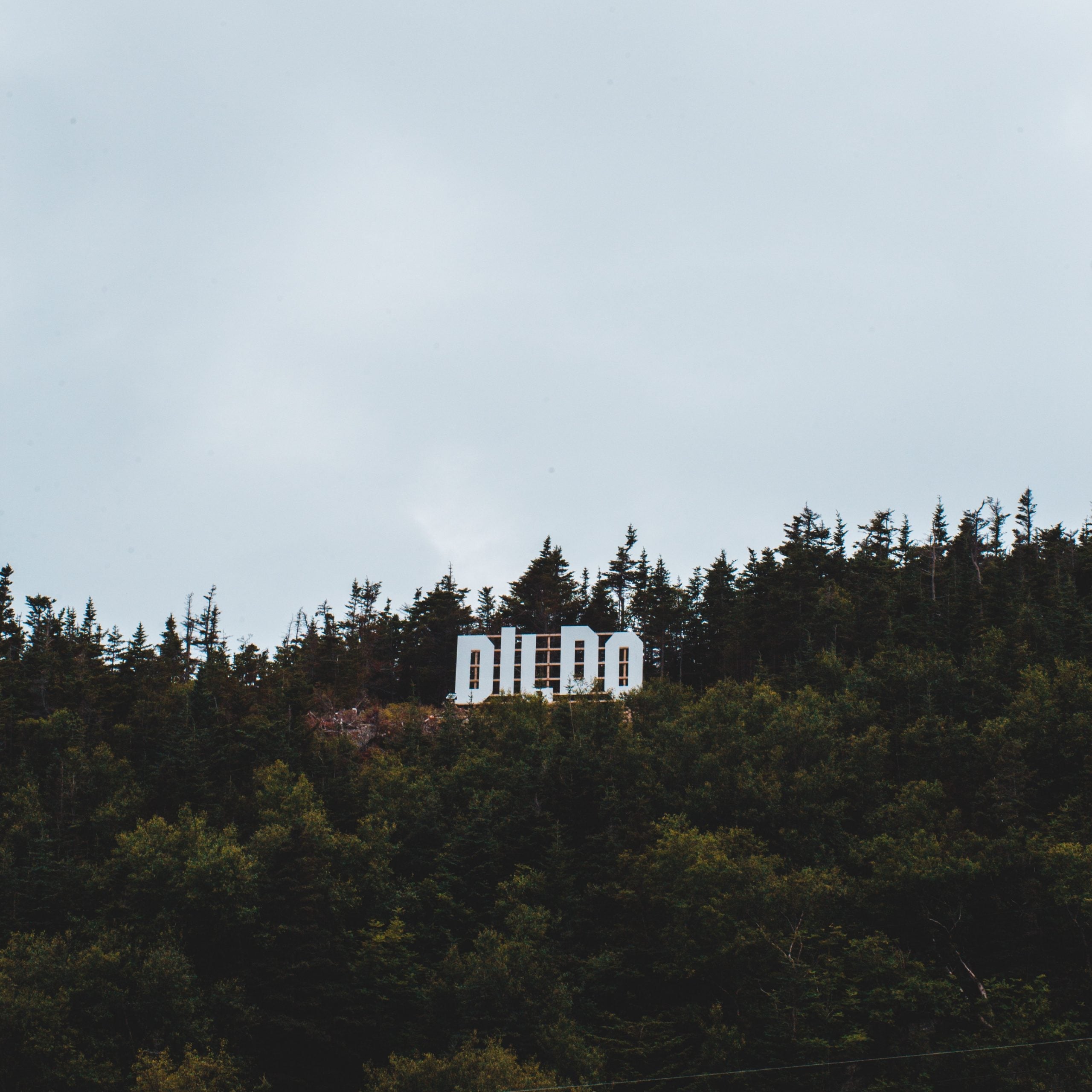 What's the Deal with Dildos?
