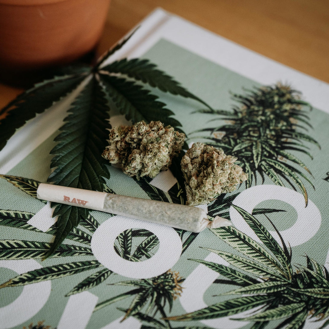 Is Cannabis a Good Fit for Your Sex Life? 