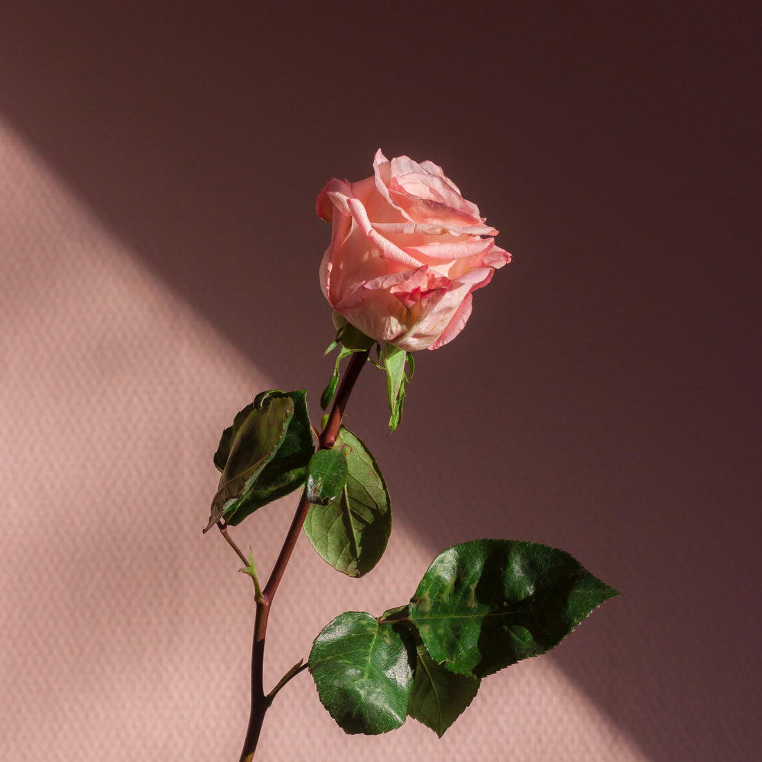 Relationship Hack: Don't Let the Romance Die